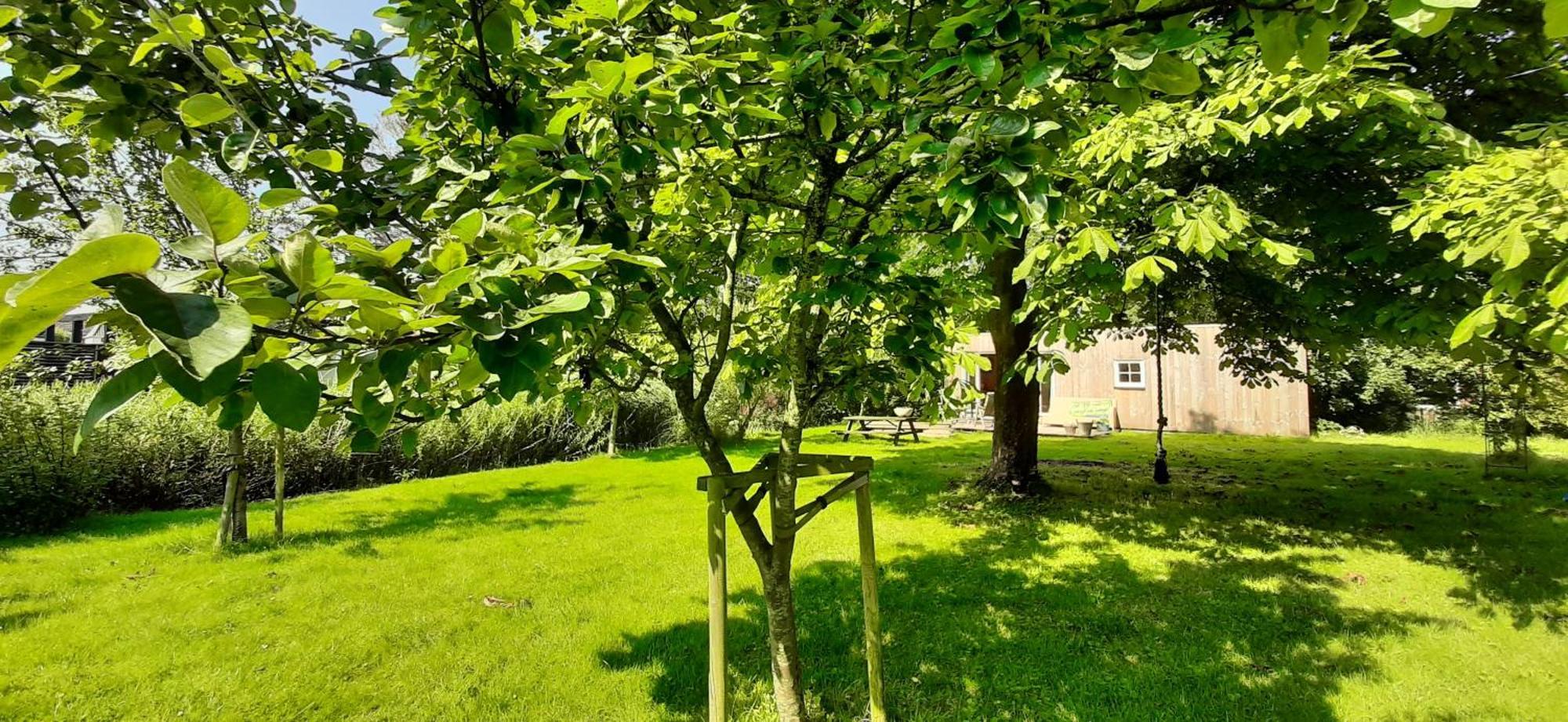 Tobornottob Villa Oosternijkerk Buitenkant foto